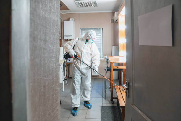 Environmental Consulting for Mold Prevention in Gray, GA